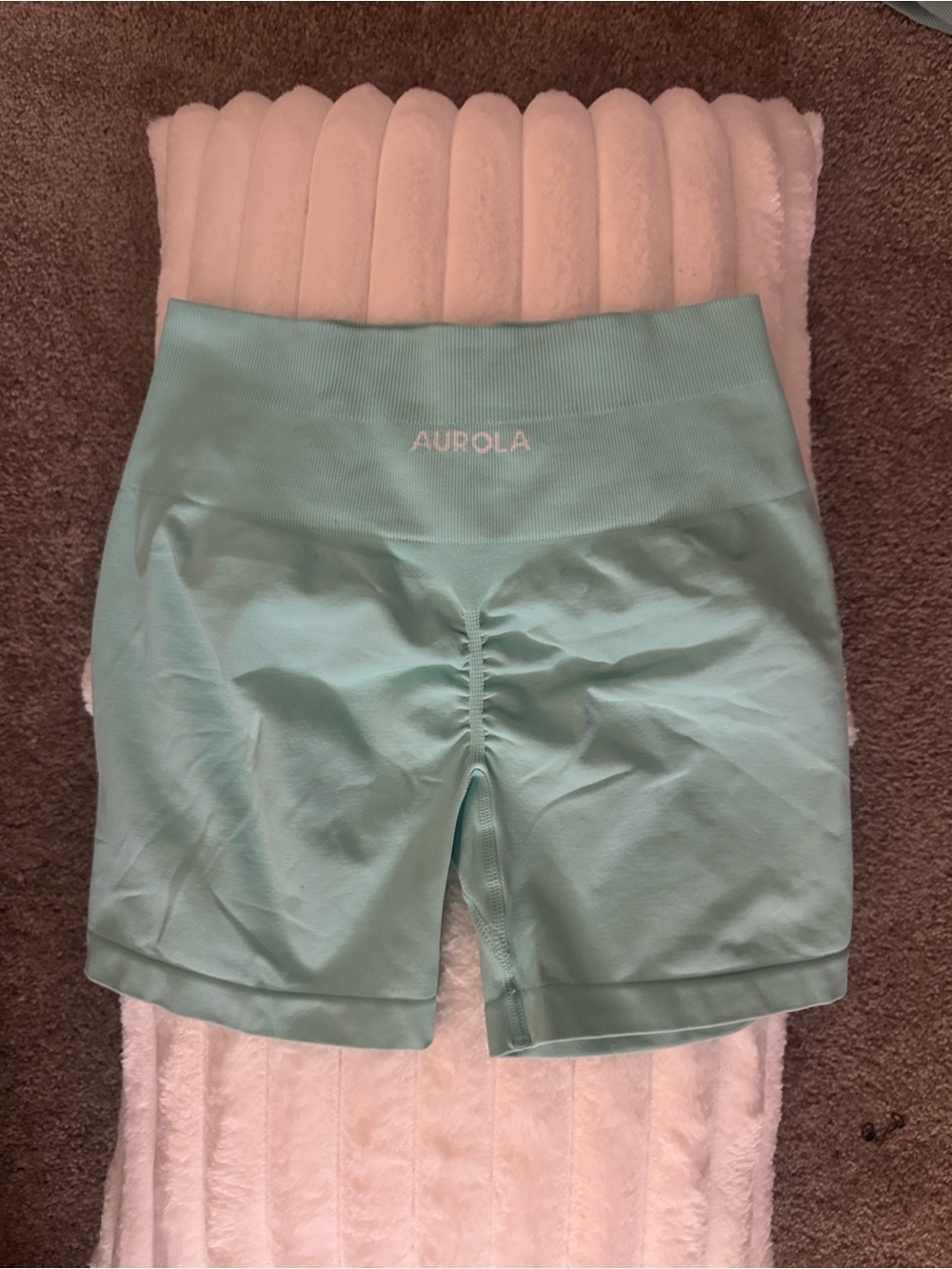Aurola mint green shorts